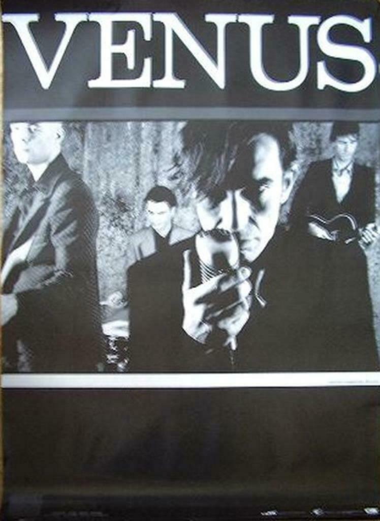 POSTER - VENUS - THE RED ROOM, Verzenden, Nieuw, Poster, Artwork of Schilderij