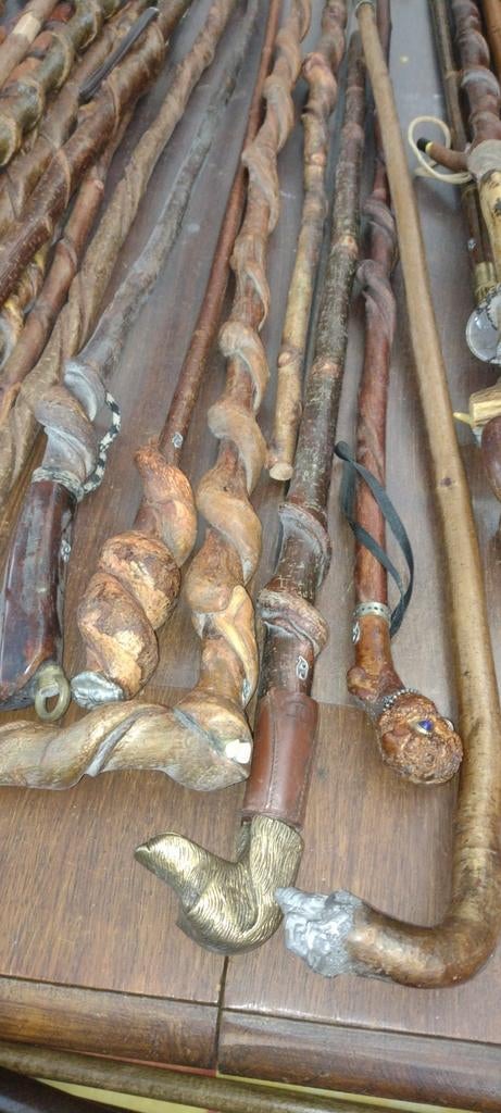 Stokken en stok in natuurlijk hout, Antiek en Kunst