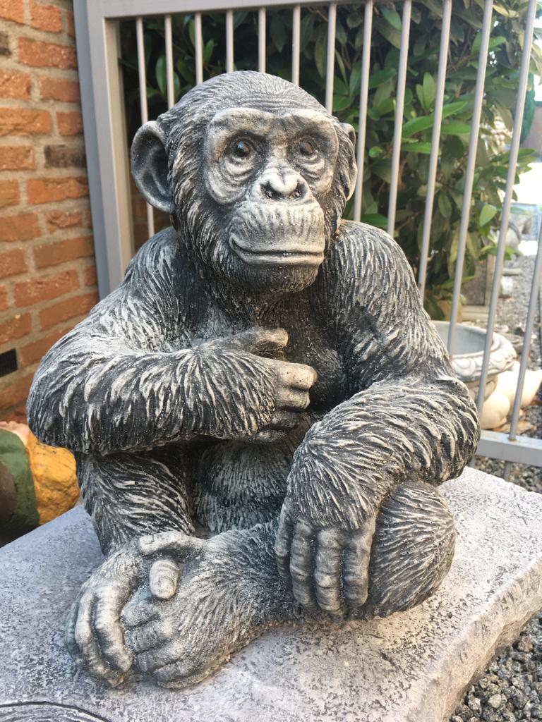 Tuinbeeld Aap, Chimpansee , hoogte 40cm, Tuin en Terras, Tuinbeelden, Ophalen, Nieuw, Beton, Dierenbeeld