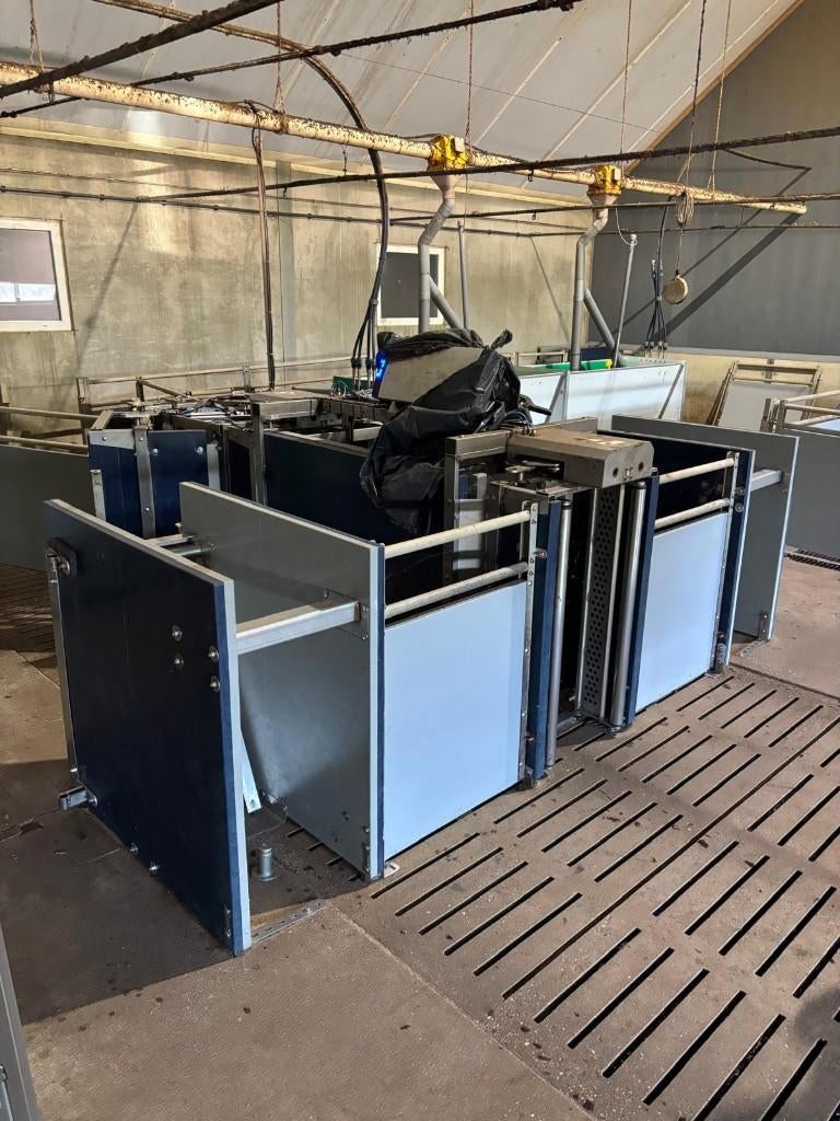 Nedap weegstations voor vleesvarkens [105], Dieren en Toebehoren