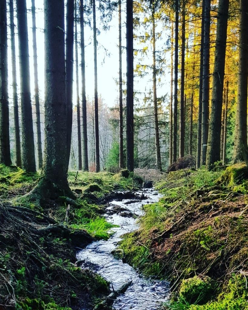 Vous recherchez un camping-car abordable dans l'Eifel ?, Particulier