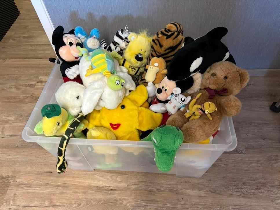 Knuffels / beertjes (inclusief kist), Kinderen en Baby's, Speelgoed | Knuffels en Pluche, Ophalen, Zo goed als nieuw