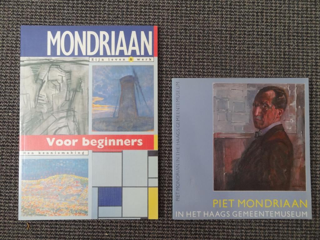 Twee boeken over Mondriaan; Mondrian van vroeg tot laat, Verzenden, Gelezen, Schilder- en Tekenkunst