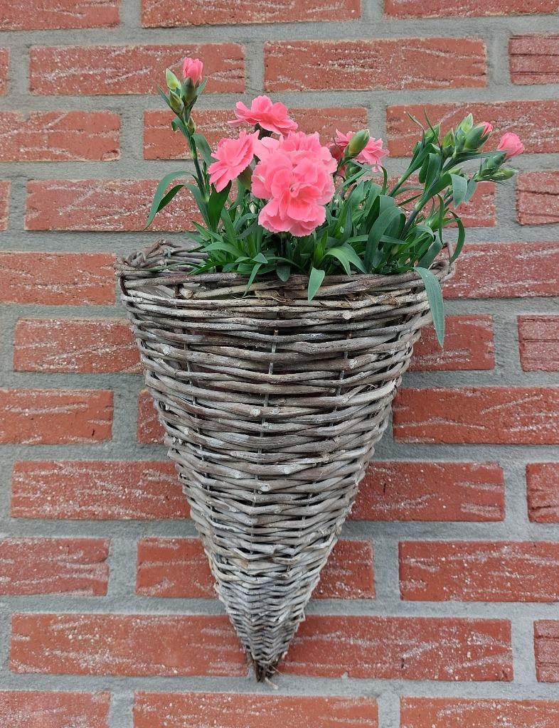 3 rieten  planten wandhangers €10,00, Tuin en Terras, Ophalen of Verzenden