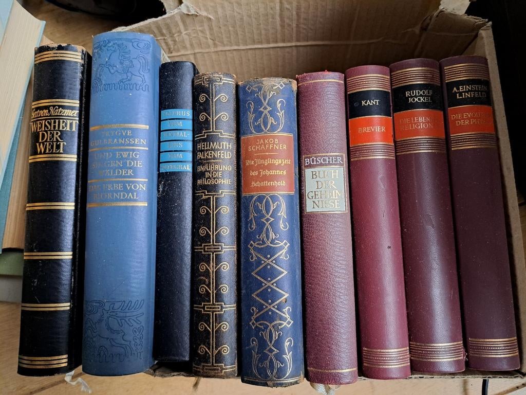 Livres en Allemand et Russe à céder en lot. Voir photos f of, Enlèvement, Comme neuf