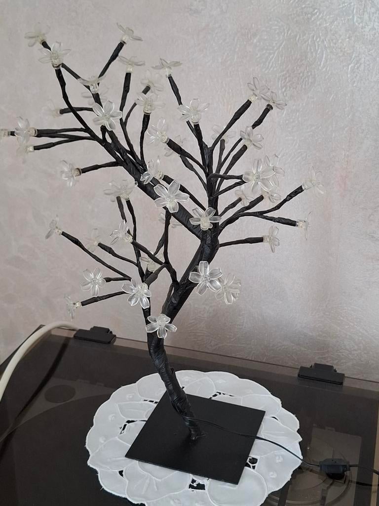 Lampe de table Tree, Enlèvement