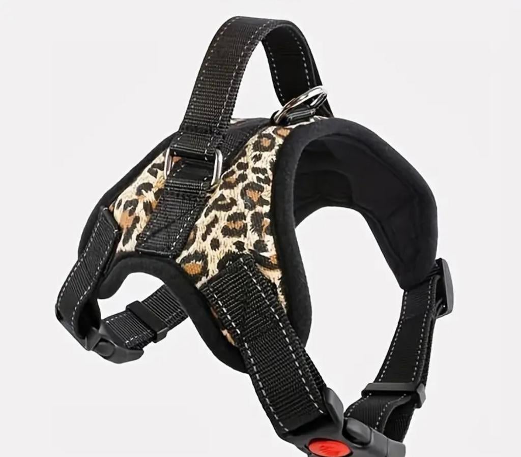 Harnais léopard taille M, Enlèvement ou Envoi, Neuf, Laisse pour chien