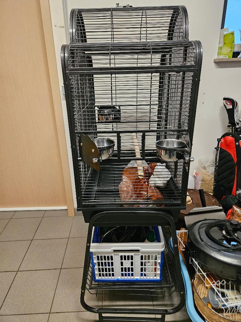 Vogelkooi voor valkparkieten, of andere vogels, Dieren en Toebehoren, Vogels | Hokken en Kooien, Ophalen, Gebruikt, Metaal, Vogelkooi