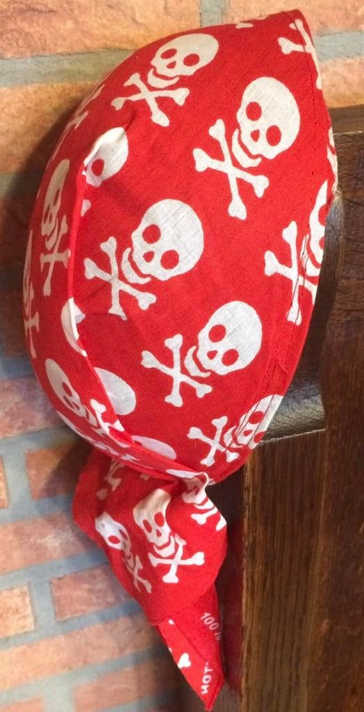 Hoed/pet voor helloween of carnaval., Ophalen of Verzenden, Zo goed als nieuw, Jongen
