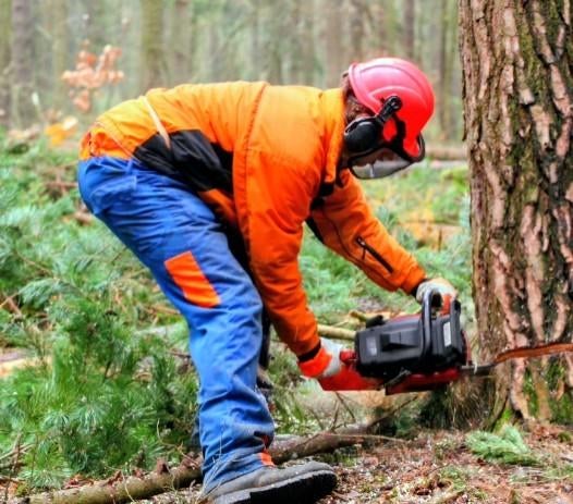Bûcheron élagueur professionnel
