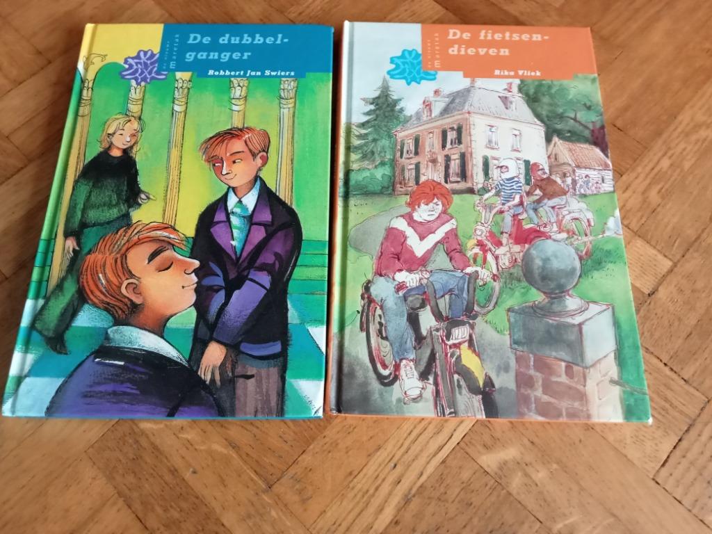 leesboeken serie de nieuwe maretak vanaf 10 jaar, Ophalen of Verzenden, Gelezen