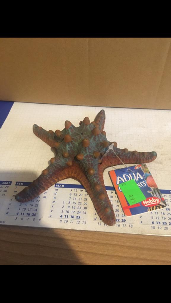 Nieuwe zeester voor aquarium decoratie, Ophalen of Verzenden, Nieuw