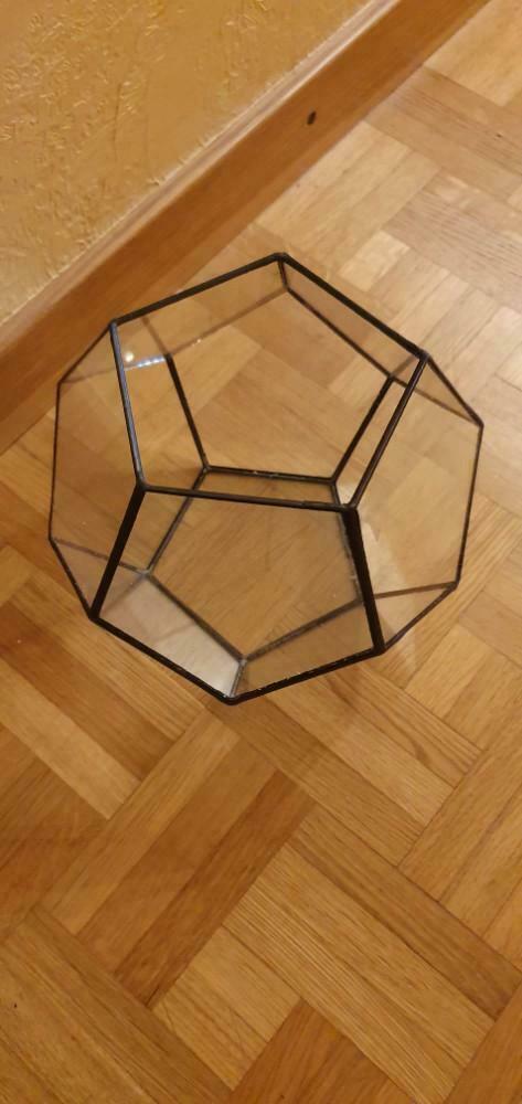 Terrarium voor planten, Ophalen of Verzenden, Nieuw, Glas