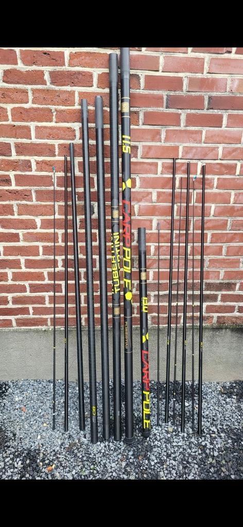Tubertine carp pole 11.5 m, Enlèvement, Comme neuf