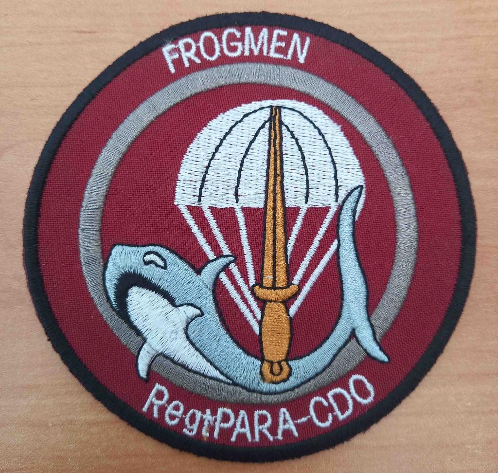 Patch de para-commande ABL FROGMEN CE CDO TRG C, Envoi, Armée de terre, Emblème ou Badge