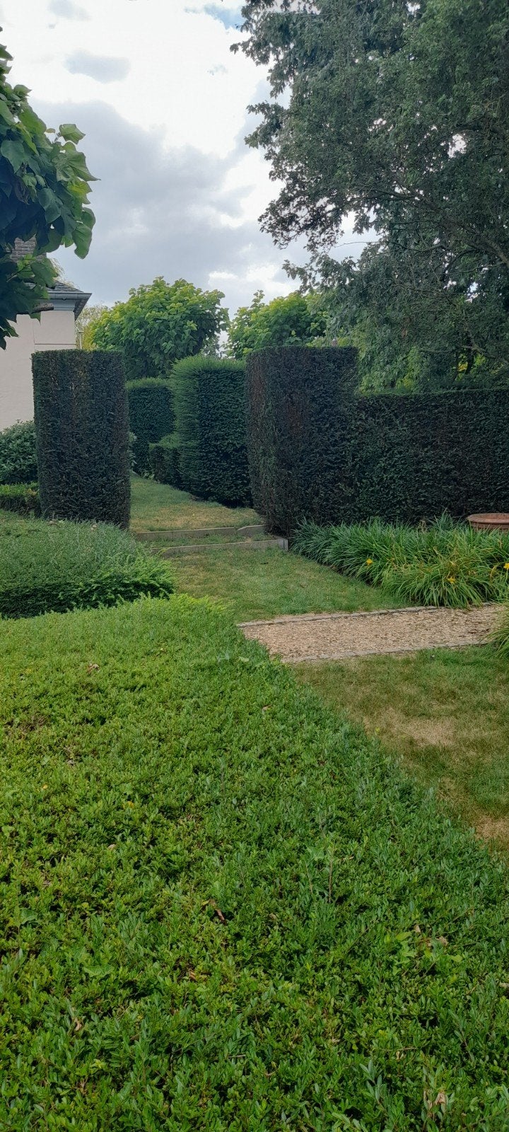 Tuinman gezocht?, Tuin en Terras, Gras en Kunstgras, Ophalen