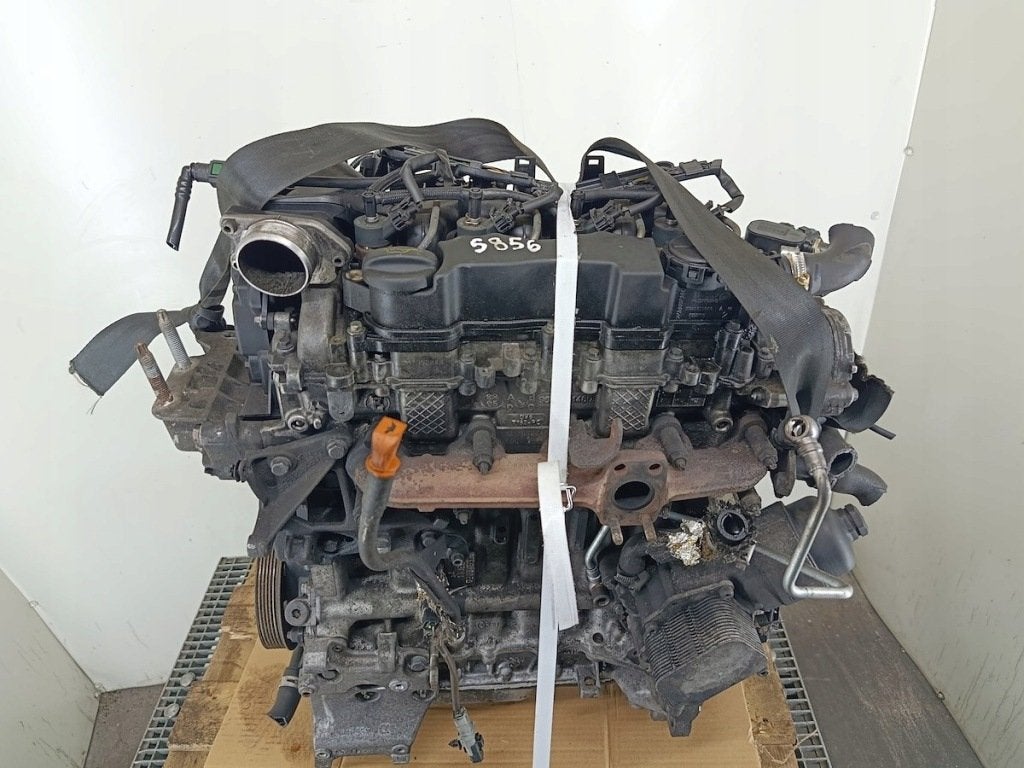 Moteur G8DA Nu FOCUS FORD, Verzenden, Gebruikt, Overige automerken