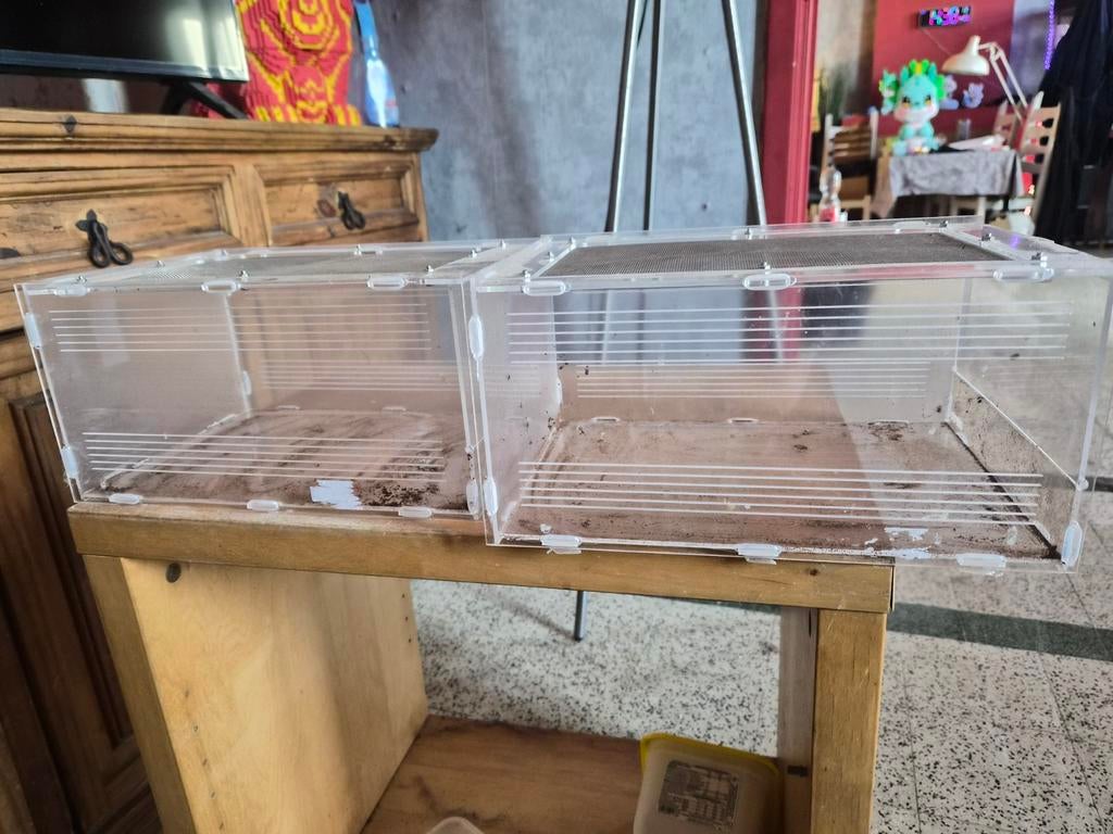 2 x terrarium voor kleine reptielen, Dieren en Toebehoren