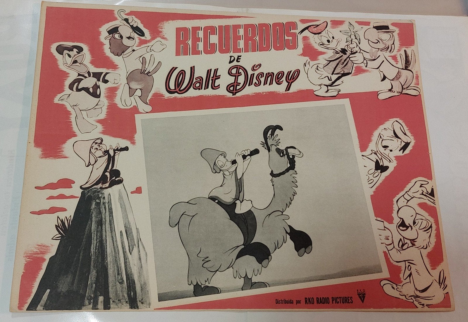 Spaanse Disneyposter jaren '40, Ophalen