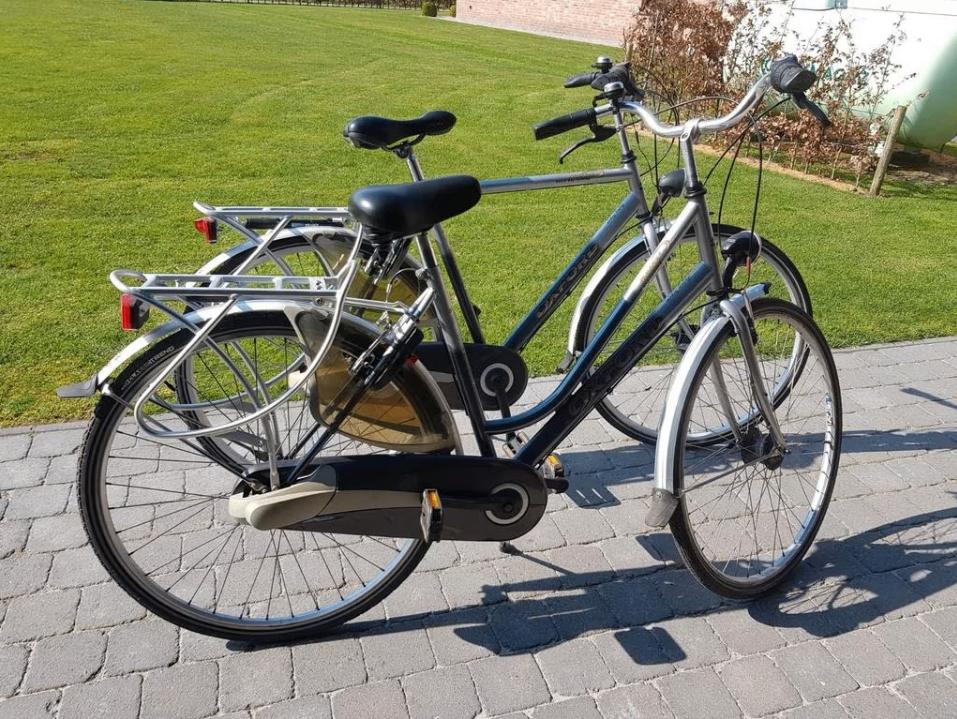 Fietsen: Oxford (prijs voor de twee!)  - regio Brecht, Ophalen, Gebruikt, Versnellingen
