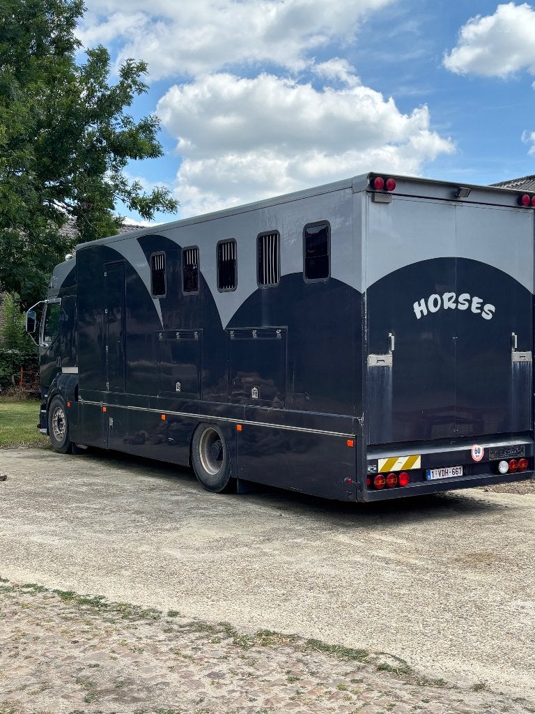Paarden camion (5 paarden), Dieren en Toebehoren, Ophalen of Verzenden
