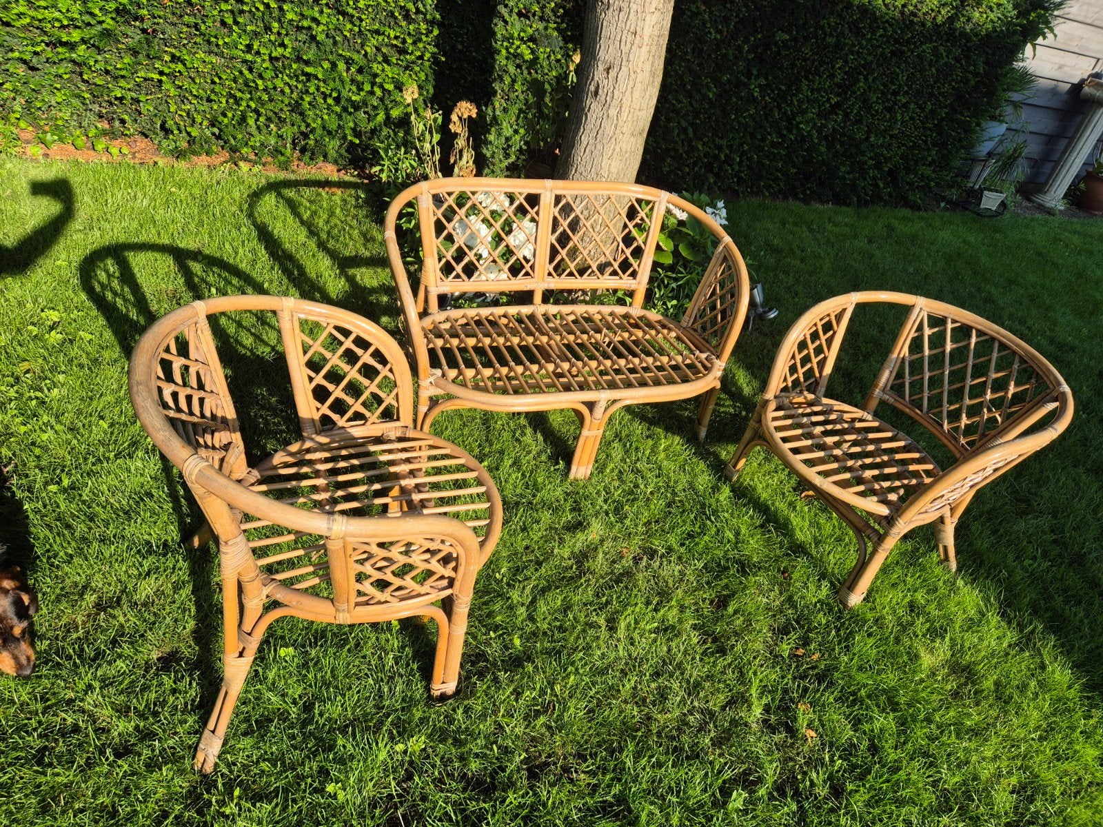 Ensemble de mobilier de jardin en rotin, canapé et deux chai, Enlèvement, Utilisé, Rotin