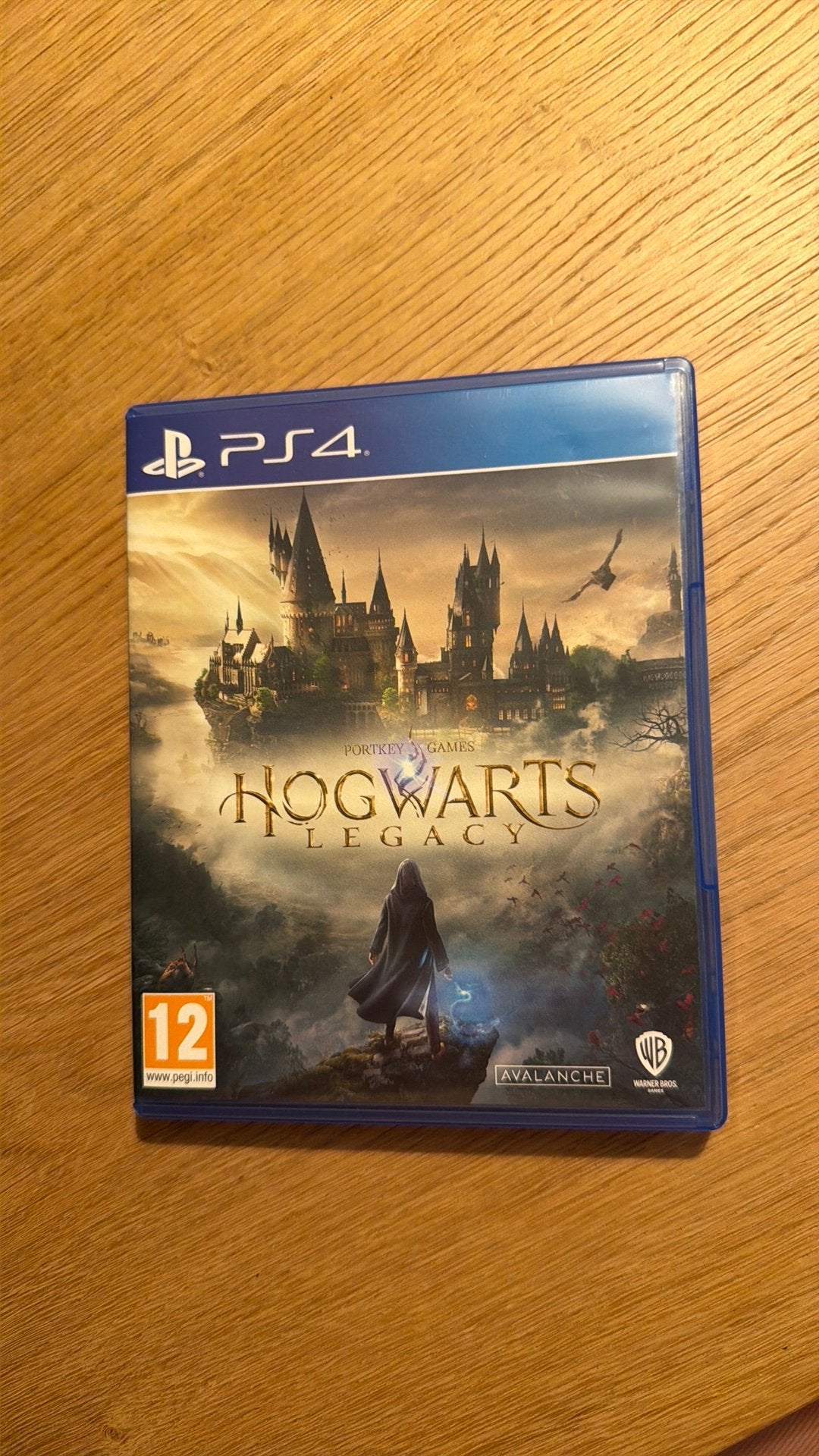 Hogwarts PS4, Enlèvement ou Envoi, Comme neuf