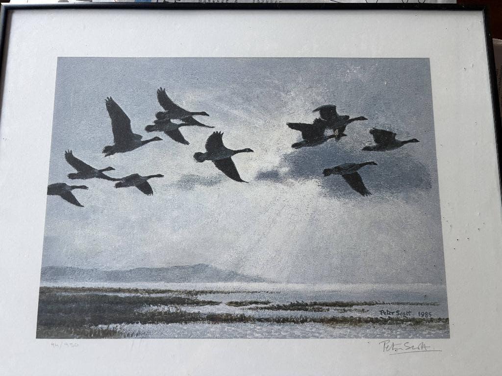 Dessin, Antiquités & Art, Enlèvement