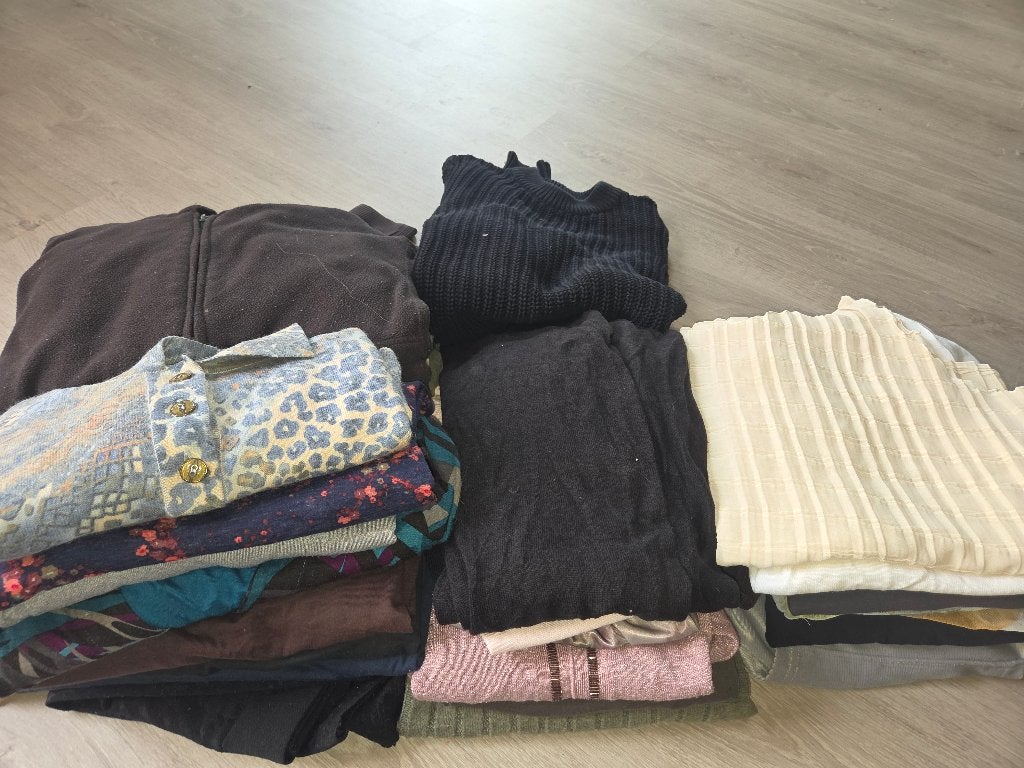 Groot kledij pakket dames large, Ophalen, Gedragen, Maat 42/44 (L)