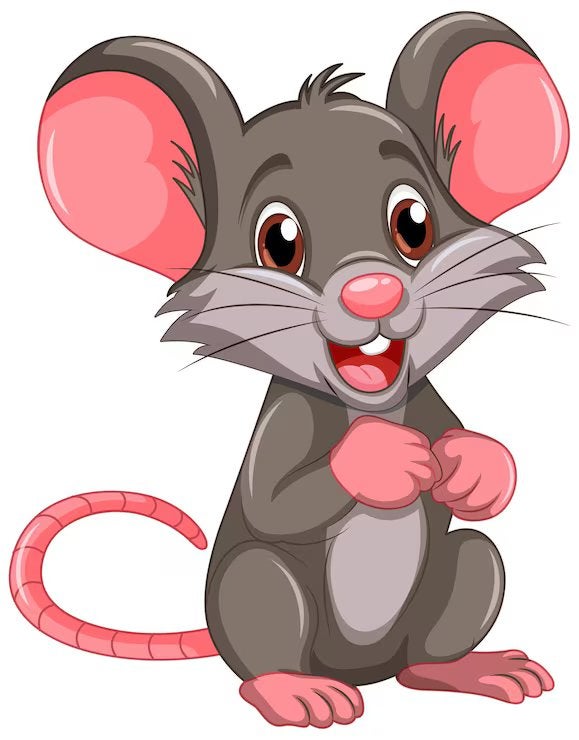 Diepvries muizen en ratten te koop, Animaux & Accessoires