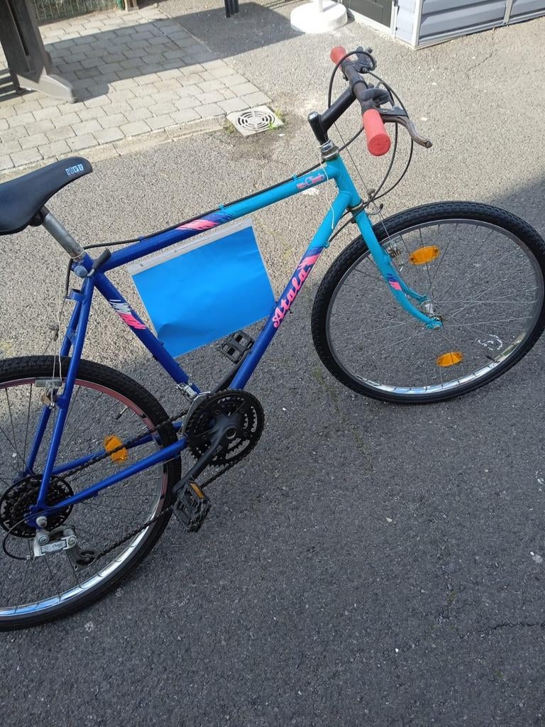 Retro mtb atala, Enlèvement