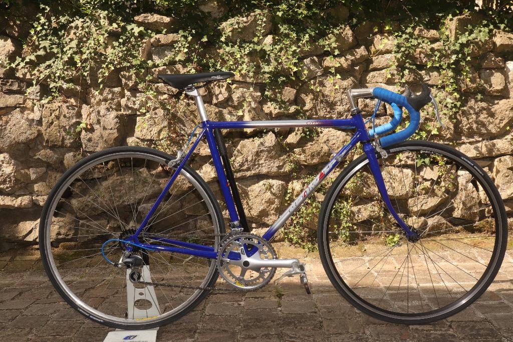 Vélo Optim'alp Gypaete, Fietsen en Brommers, Ophalen, Zo goed als nieuw, Staal