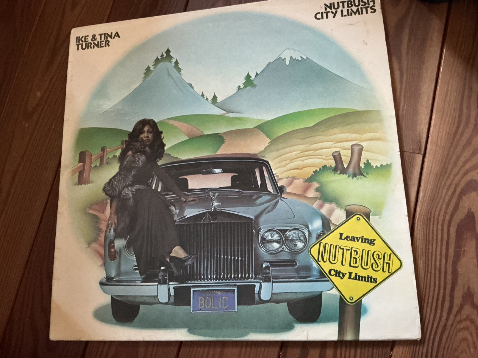 LP Ike & Tina Turner - nutbush city limits, Ophalen of Verzenden, Gebruikt, LP