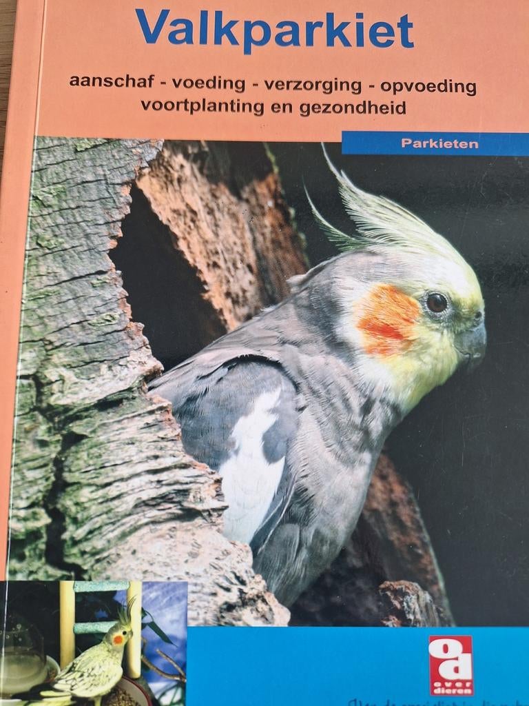 A. van Kooten - De Valkparkiet, Enlèvement, Oiseaux, A. van Kooten