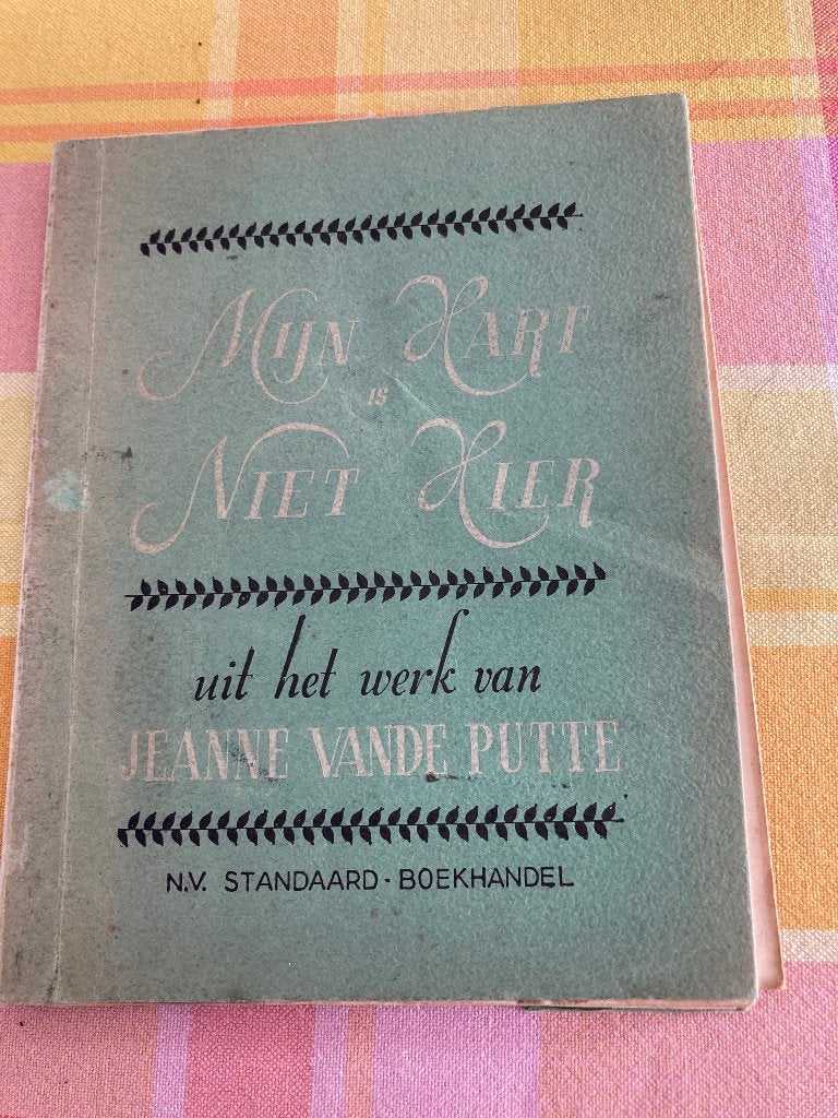 Jeanne van de putte Mijn hart is niet hier, Boeken, Schoolboeken, Ophalen of Verzenden, Gelezen, ASO, Nederlands