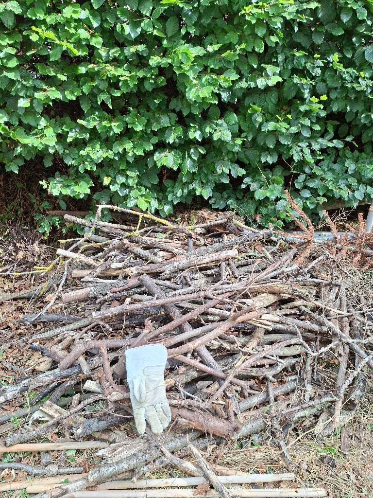 Aanmaakhout, Tuin en Terras, Brandhout, Minder dan 3 m³, Ophalen, Overige houtsoorten, Takken