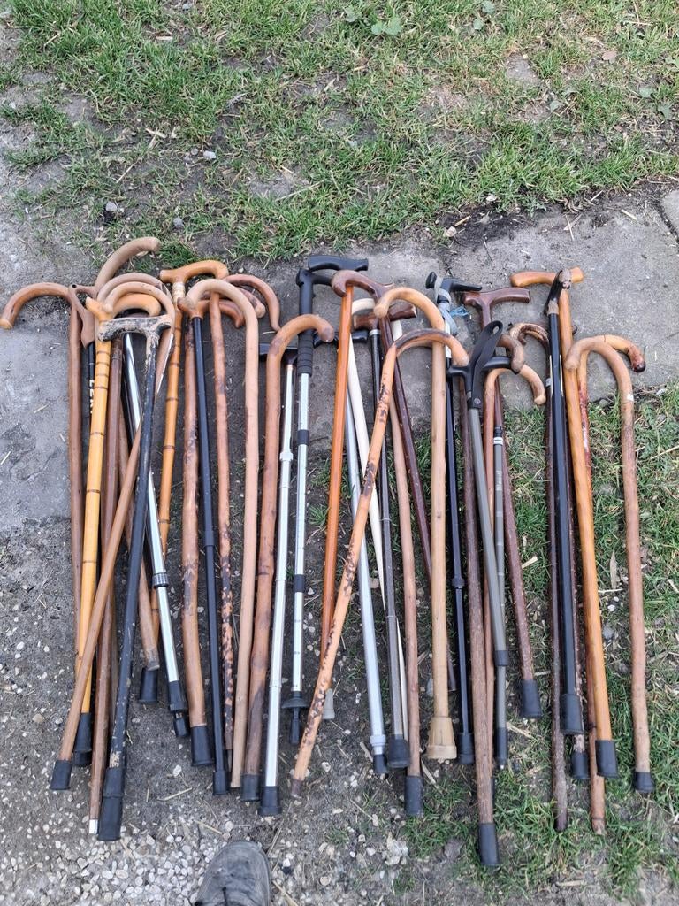 Canne A vendre