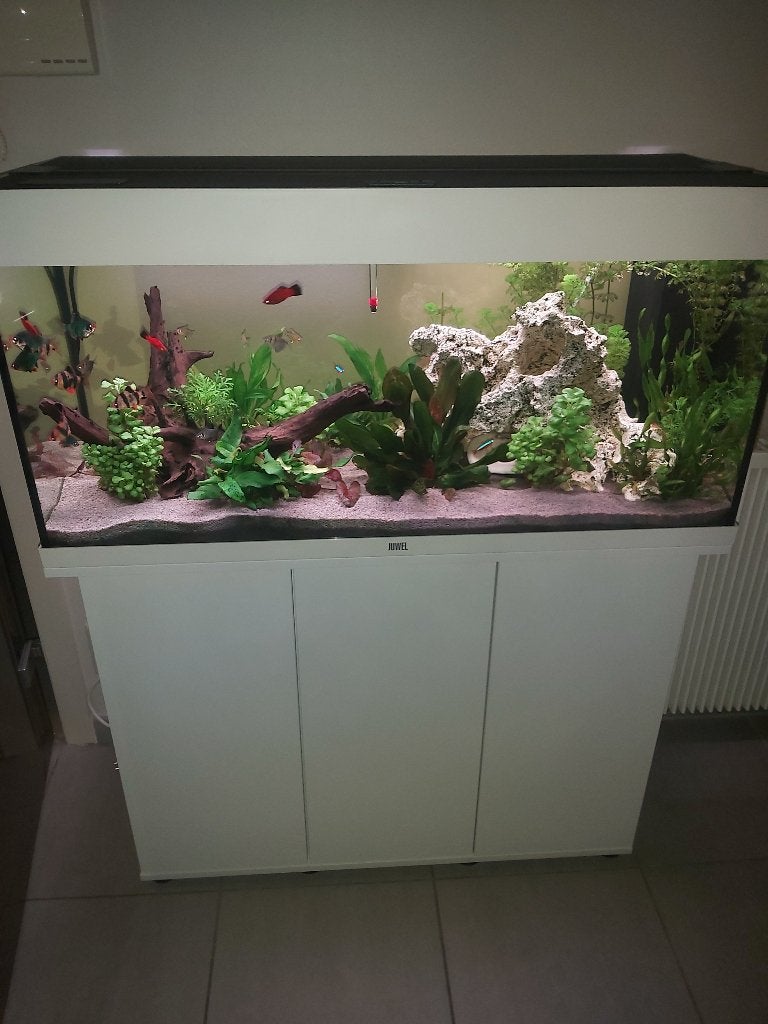 Aquarium, Dieren en Toebehoren, Ophalen, Nieuw, Juwel, Aquariummeubel