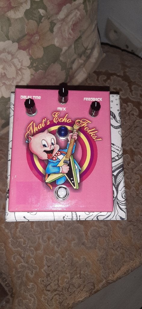 Mijn muziek, dat is het pedaal van Folks., Muziek en Instrumenten, Ophalen of Verzenden, Gebruikt, Delay of Echo