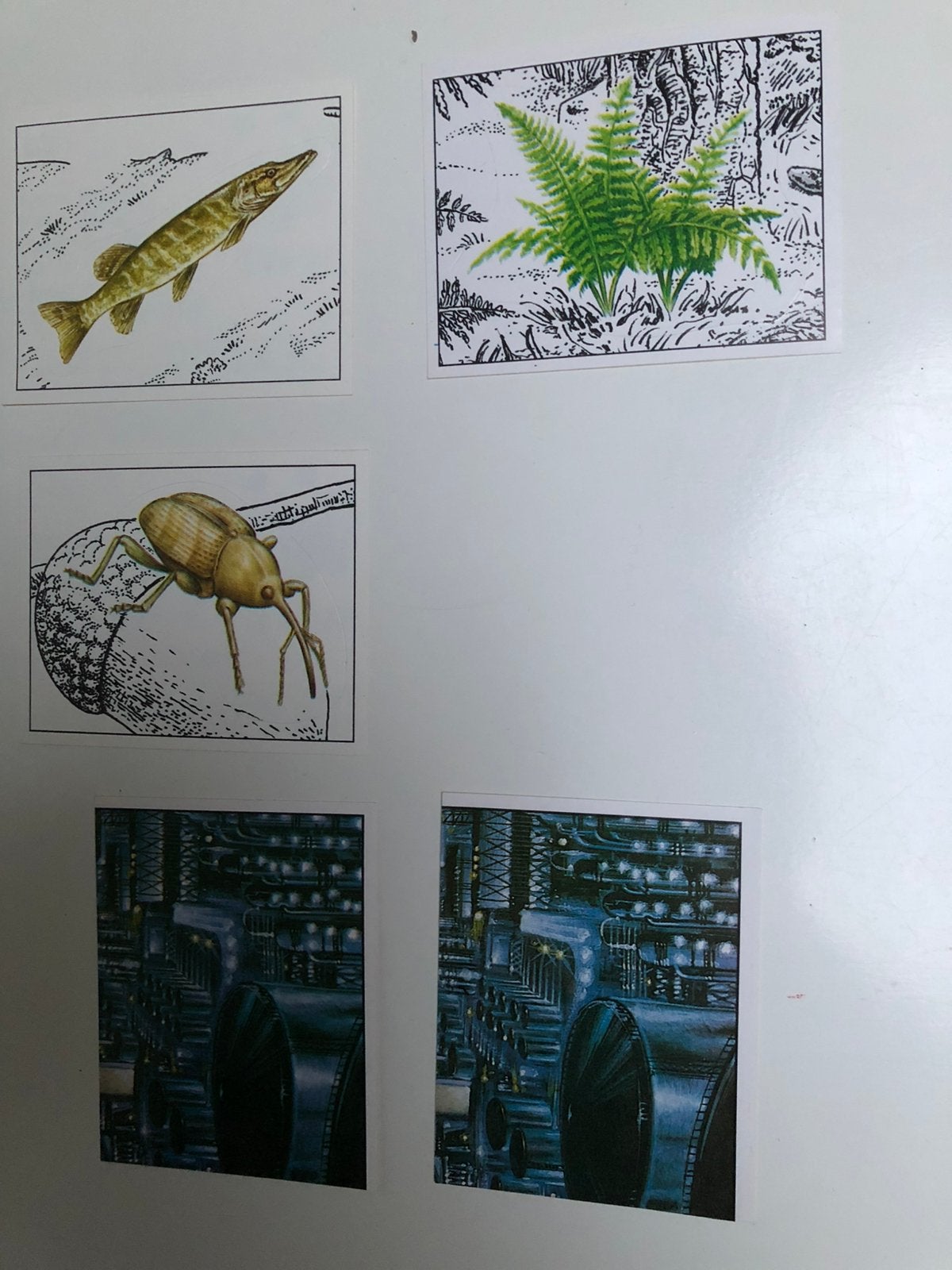 Stickers: reeks WWF Panini: nature in danger, Verzamelen, Ophalen of Verzenden, Nieuw, Dier en Natuur