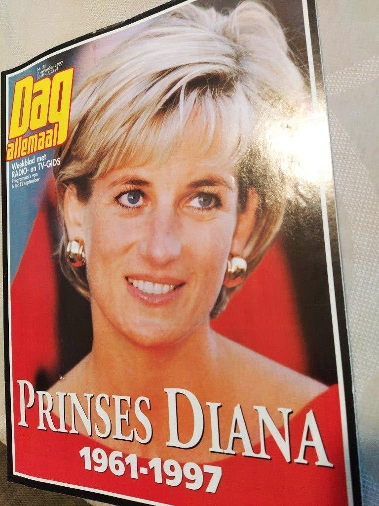 boek: Diana's boys:Christ.Andersen+Prinses Diana 1961-1997, Verzamelen, Ophalen of Verzenden, Zo goed als nieuw, Tijdschrift of Boek