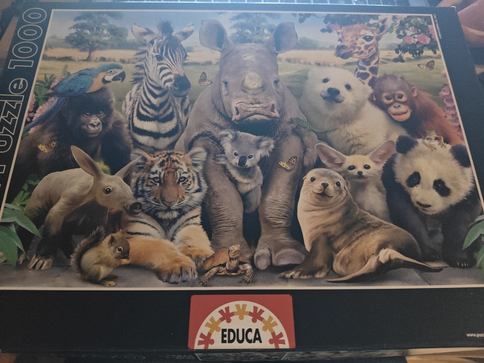 EDUCA puzzel 1000 nr 15517 It's a Class Photo, Hobby en Vrije tijd, Denksport en Puzzels, Ophalen, 500 t/m 1500 stukjes, Gebruikt