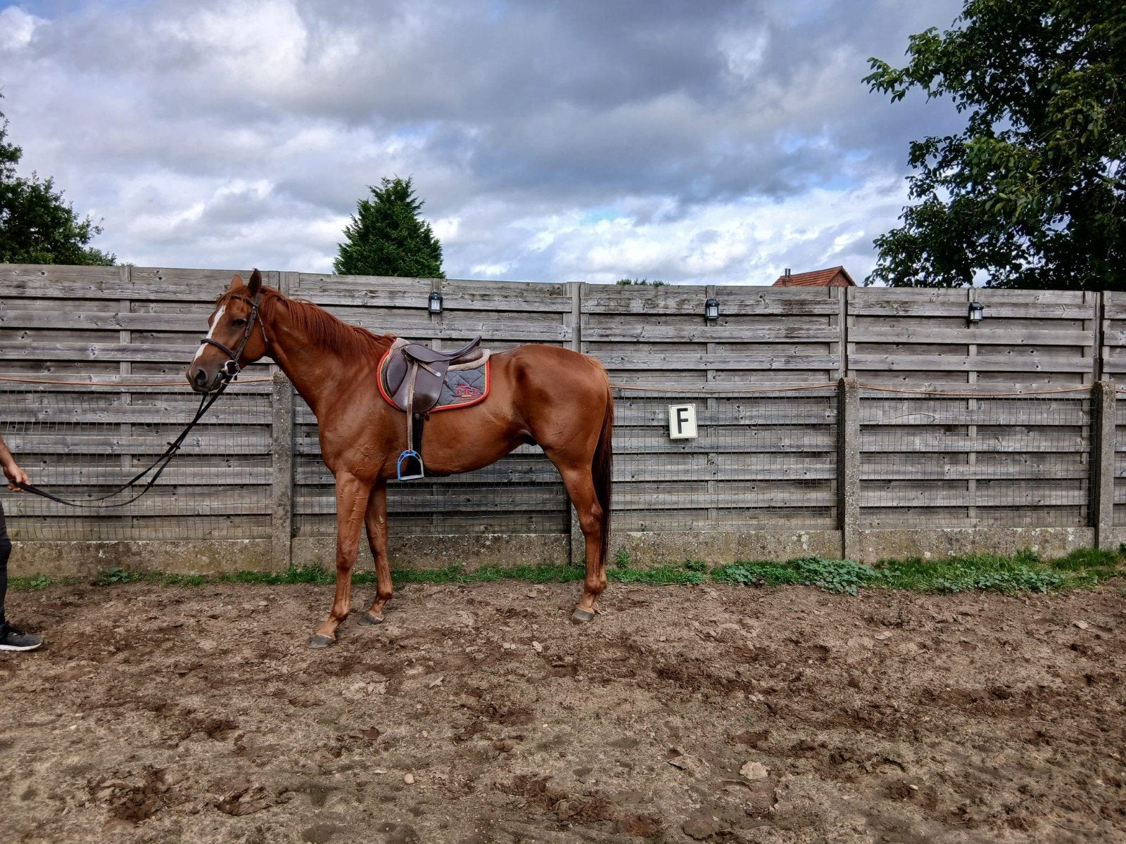 mooie ruin, Hongre