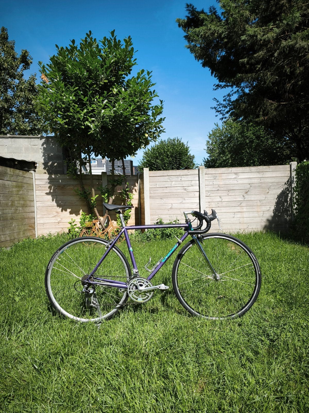 Vélo de course Vintage Diamant CHROMOLY (Taille 50), Acier