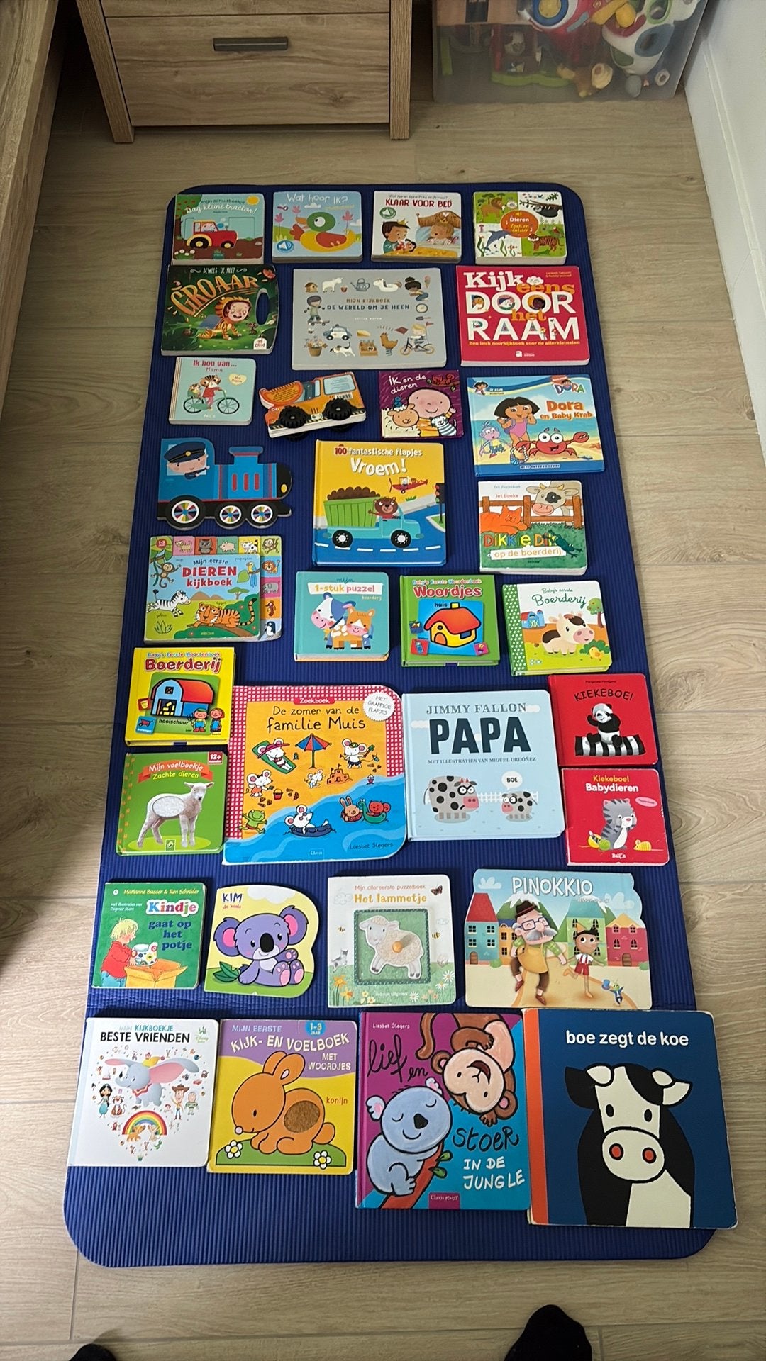 Kinder en baby boekjes, Enlèvement, Comme neuf