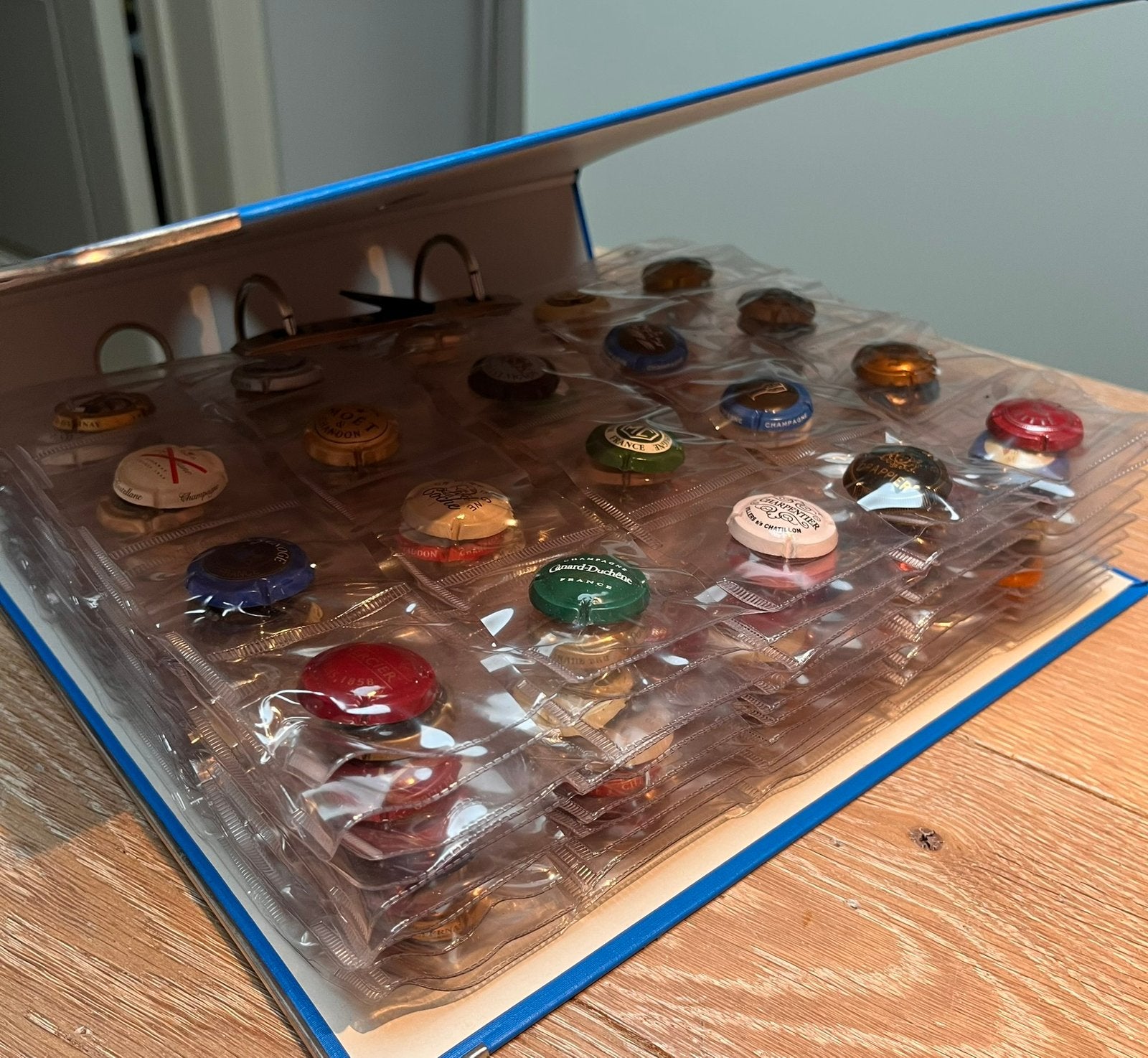 300 Champagne capsules + map, Verzamelen, Complete verzamelingen en Collecties, Ophalen of Verzenden