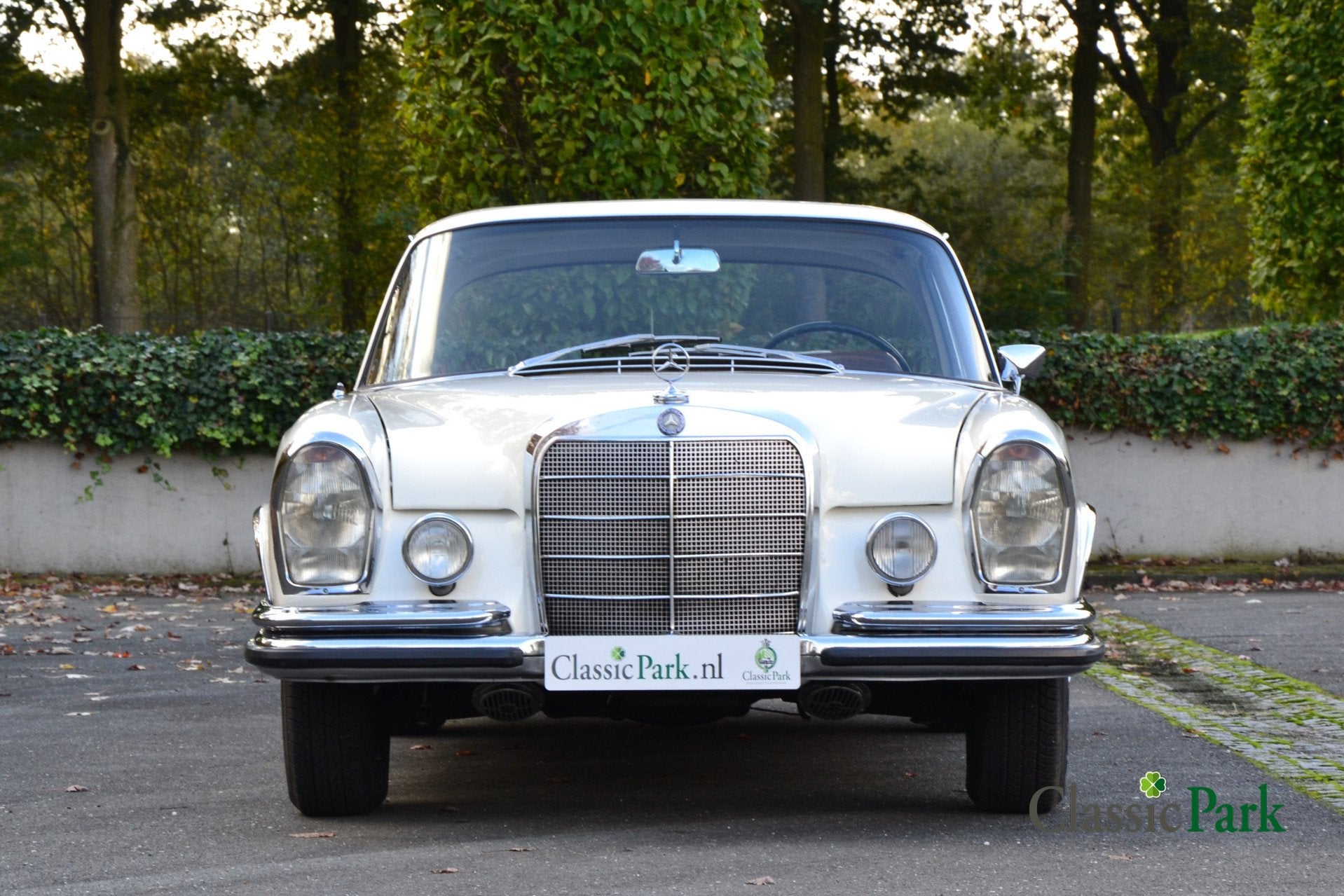 Mercedes-Benz 200-serie 250 SE Coupé (bj 1966, automaat), foto 8