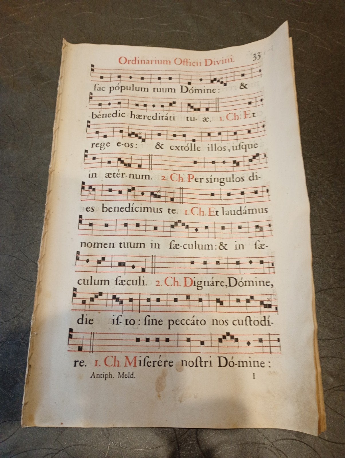 8 bladzijden antiphonarium, Ophalen of Verzenden