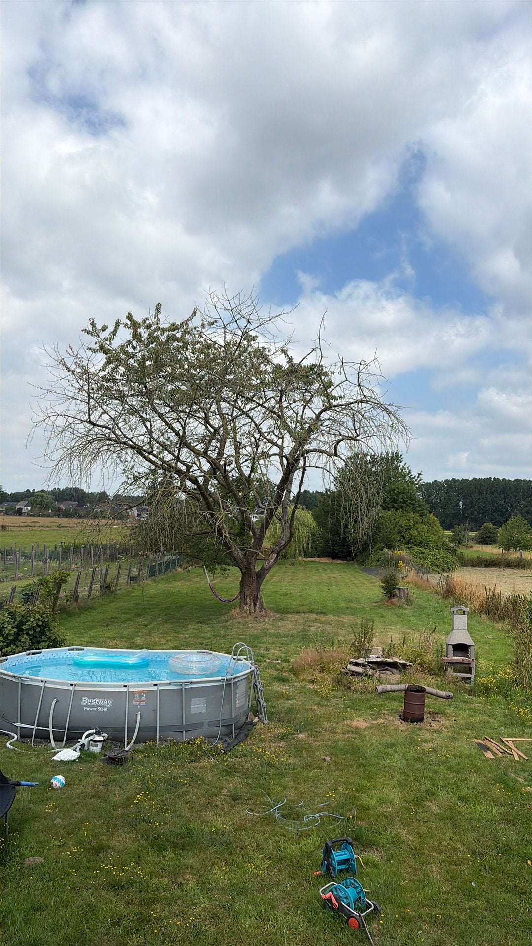 Kerselaar voor brandhout, Ophalen, Overige houtsoorten
