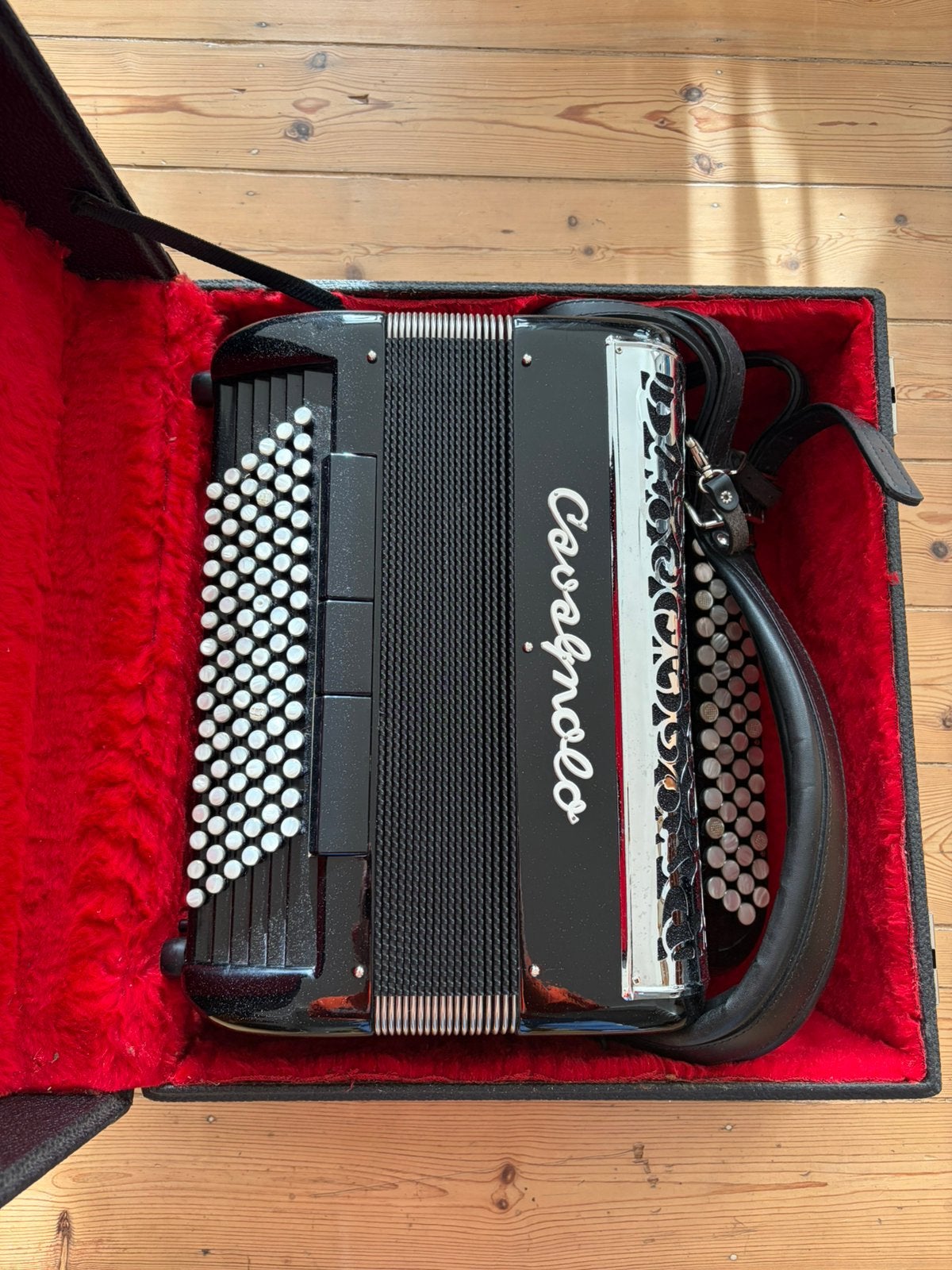 Cavagnolo, Musique & Instruments, Autres marques, Enlèvement ou Envoi, Avec valise, Utilisé